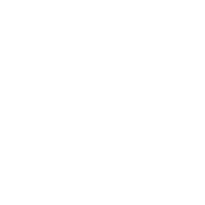 município braga